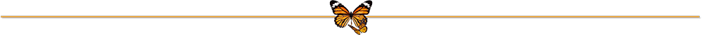 linea-naranja-con-mariposa-centro-sombra-web-papillon-1000x50 linea-naranja-con-mariposa-centro-sombra-web-papillon-1000x50